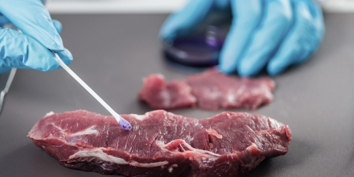 RP-HACCP-studie HACCP-studie