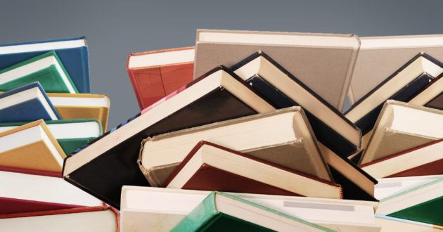 RP-Literatuur-studie Riskplaza Literatuuronderzoek kost tijd