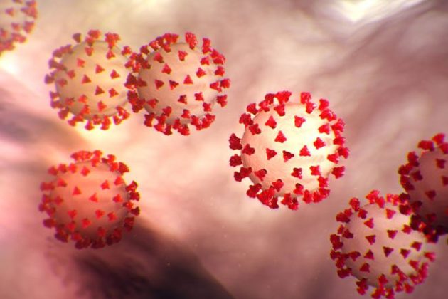 coronavirus-s1