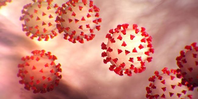 coronavirus-s1