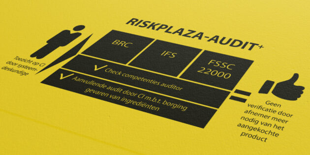 Riskplaza-audit-plus Riskplaza-audit-plus